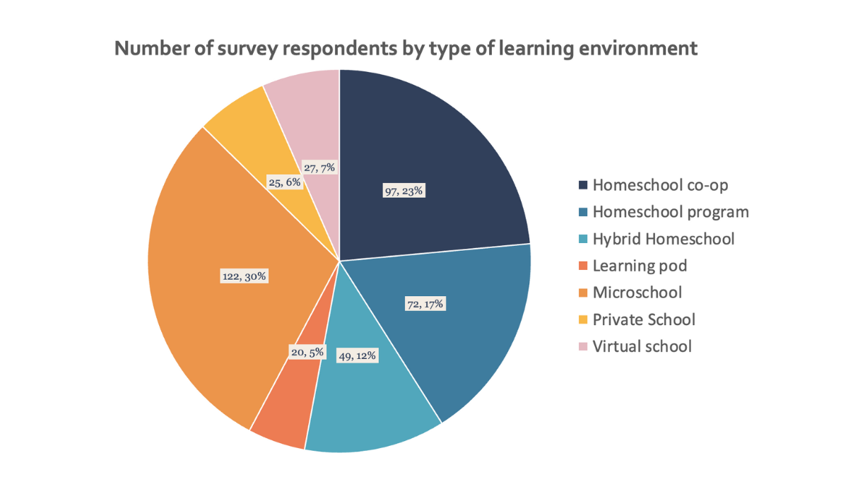 Respondents by type pie chart