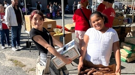 The Indie Education Lifestyle: Why This Goes Way Beyond School